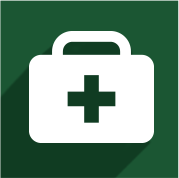 StatSafe service icon